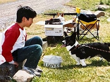 コーギーと人生をともにする飼い主の、30年前と現在のビフォーアフターに14万いいね！コーギー愛が溢れる写真に、ほっこりせずにはいられない！