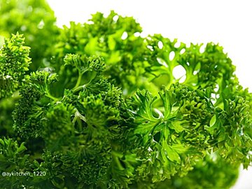 使い切れている？余りがちな生パセリを完全消費する便利な冷凍術