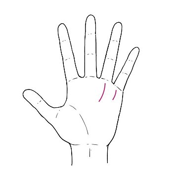 3秒でわかる手相術！あなたに向いている「お小遣い稼ぎ」の方法3タイプ