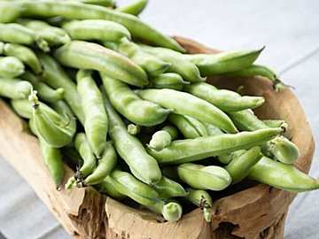 【旬食材】うぶ毛を見つけたら即買い！鮮度の高い「そら豆」の選びかたを野菜ソムリエが解説