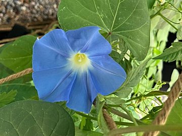 夏休みのストレスを減らして乗り越える方法５つ