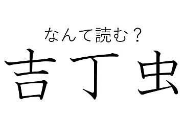 名前はよく聞くけど見つけるのは難しいかも？難読漢字「吉丁虫」はなんて読む？