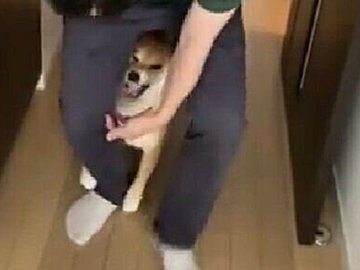 甥をおんぶする飼い主。やきもち焼きの愛犬にハムハムされたけど「痛くても、愛されて幸せ」