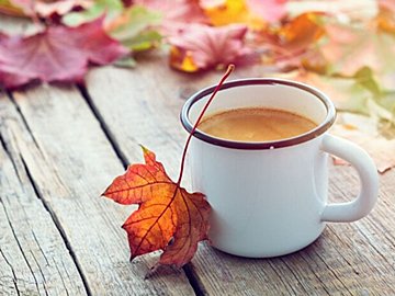 【GU】40代女性にはこれ！シンプルなスウェットはメンズサイズが超使える