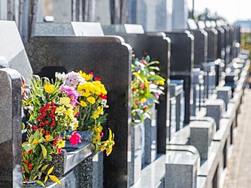 専門家が墓じまいについてアドバイス「墓じまいってご先祖や親族に対して申し訳ないこと？」