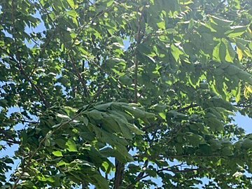 子どもを甘やかすのはダメ？いい甘えと悪い甘えの違いとは