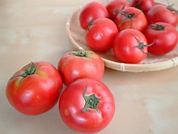 やらなきゃもったいない！旬のトマトの一番おいしい食べ方！