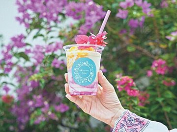 沖縄ならではの風景が楽しめる北部・やんばるエリアの魅力を移住4年目の麻美さんがレポート