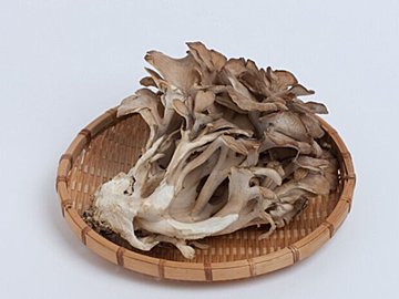 食べなきゃ損！舞茸の栄養と効能～ダイエットに効果的な理由も解説します～