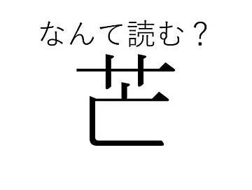 日本で生まれた意味がある！風流な姿が人気の「芒」はなんて読む？