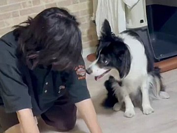 “パパ大好き”なワンコのマネっこ遊び！「かわいい」も「賢い」も兼ね備えた姿に1.9万人が癒やされる