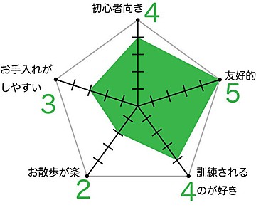 トイ プードルの特徴と性格 飼い方 価格相場など 犬図鑑 いぬのきもちweb Magazine