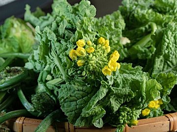 やらなきゃもったいない！旬の「菜の花」と相性抜群な食材で一石二鳥の簡単メインを野菜ソムリエが解説