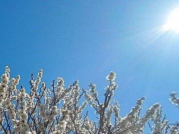春の紫外線は真冬の何倍!?いま対策が必要な理由を気象予報士が解説！