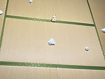 ジャンガリアンハムスターを飼育していた部屋で開催された「本物のハムスターを探せ！」に多くの挑戦者集まる