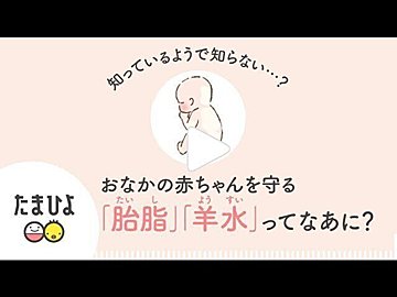 医師監修 羊水の役割と 羊水の量 濁りなどによって起きるトラブル たまひよ