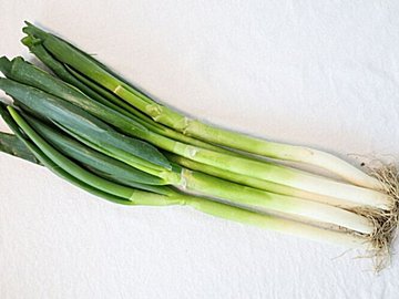 あなたも間違えているかも!?やってはいけない長ネギの保存方法