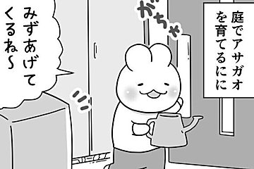 アサガオを育てている幼稚園の長男。水といっしょにかける「あるもの」とは!?やさしい姿に癒やされる