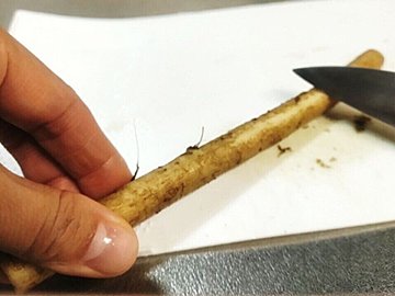 ごぼうの皮はピーラーでむく？包丁でむく？皮に含まれる成分とそのメリットもご紹介！