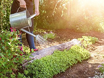 【転勤族】引越しを1ミリでも楽に！ガーデニングを楽しむ転勤族が「やめたこと」3選