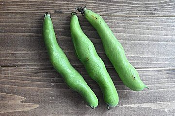 【旬の食材】そら豆は焼いて下処理が楽ちん！おすすめアレンジレシピ