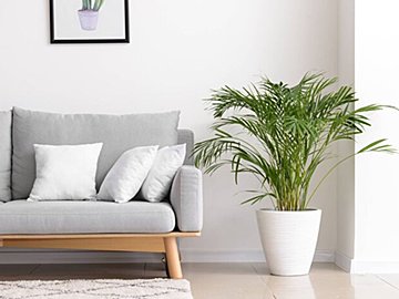 【家事のプロが指摘】なんだか家がゴチャついて見える人必見！“清潔感のある家”の3大ルール