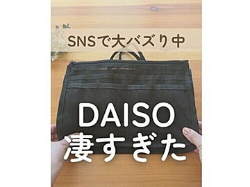 330円で解決！【ダイソー】「SNSでバズりまくってる」大人気のバッグインバッグ