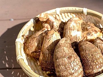 じつは避けたほうがいいかも？野菜のプロが教える里芋のもったいない食べかた