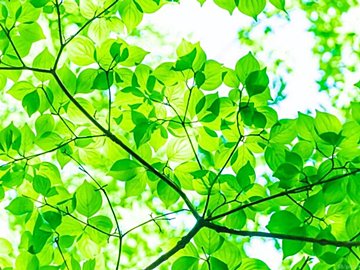 快適なはずの季節を邪魔する「春の5K」とは？知っておきたい豆知識を気象予報士が解説