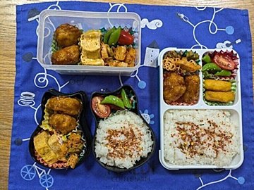 【お弁当】本日も節約弁当なり３３