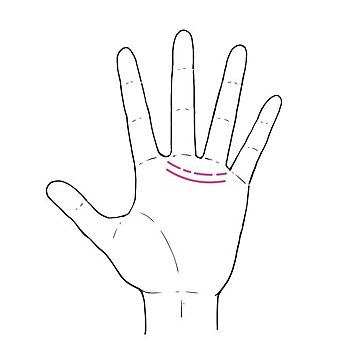 3秒でわかる手相術！あなたの心と生活が満たされる「趣味」はズバリこれ！