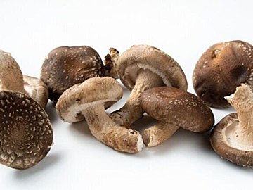 「しいたけ」を買ったらやらなきゃ損！プロが教えるしいたけの1番おいしい食べかた