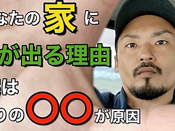 しっかり対策しているのに何故!?家に虫が発生する8つの理由
