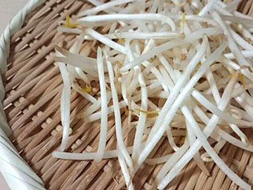 じつは避けたほうがいいかも!?野菜のプロが教える「もやし」のもったいない食べ方