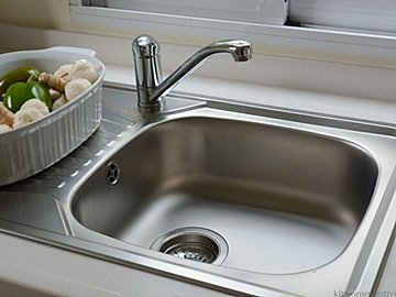 シンクに捨てたメロンの種から芽が生えた!?まさかの光景に、6.4万件のいいねと「生命力強すぎる」の声