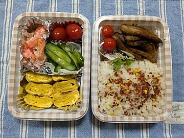 【お弁当】本日も節約弁当なり２３