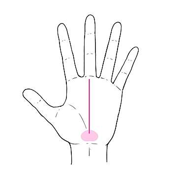 3秒でわかる手相術 好きなことが仕事につながるかも ラッキーを秘めた手相を活かすコツ サンキュ