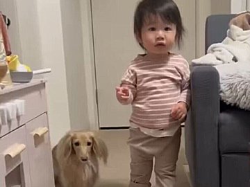 1歳娘の突然の駄々っ子モードに、素早く反応して避難する愛犬。その賢い様子に1.3万件のいいねが集まり話題に