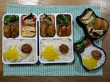 【お弁当】本日も節約弁当なり２９