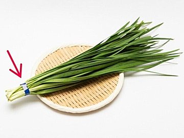 「たった3秒で野菜の日持ちが変わる！」「帰宅したらとりあえずやって！」野菜ソムリエが教える長持ちさせる習慣