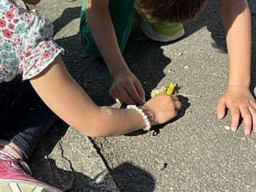 瀕死状態のミツバチを発見した6歳と5歳のきょうだい。献身的な救護活動に5.3万件以上のいいね