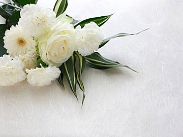 「お皿に置けたじゃない」「みんな応援してるからね」私を救ってくれた言葉