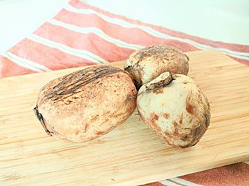 しゃきしゃきだけじゃない！れんこんの旬をおいしく食べる方法とオリジナルレシピ3選