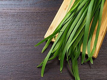 【旬食材】シャキシャキのニラを選ぶにはどこを見るべき？野菜ソムリエが解説