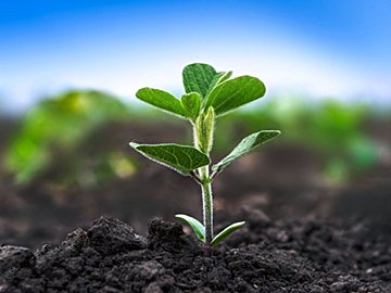 捨てられる野菜、無駄になる努力をなんとかしたい！「続けられる農業」を応援したくて会社をはじめました