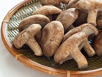 じつは避けたほうがいいかも？野菜のプロが教える「しいたけ」のもったいない食べかた