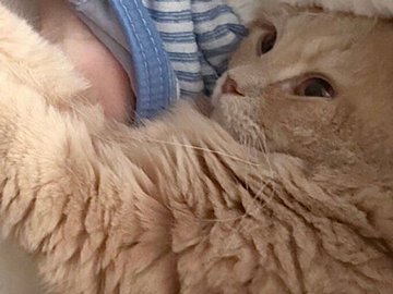 「なんか息苦しいなと思ったら」お昼寝中、愛猫に鼻と口をふさがれた!?そのかわいすぎる理由に、思わず胸まで苦しくなる！