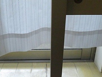 【秋以降も油断禁物】1つのミスがまねいたゴキブリ遭遇！原因と対策