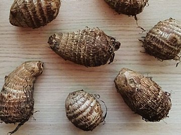 【旬食材】里芋は皮ごと料理するのが正解かも？野菜ソムリエが伝授