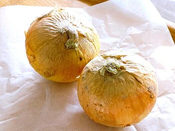 野菜のプロ監修 玉ねぎ の保存方法は 正しい方法を知りおいしく使い切ろう サンキュ 野菜のプロ監修 玉ねぎ の保存方法は 正しい方法を知りおいしく使い切ろう サンキュ